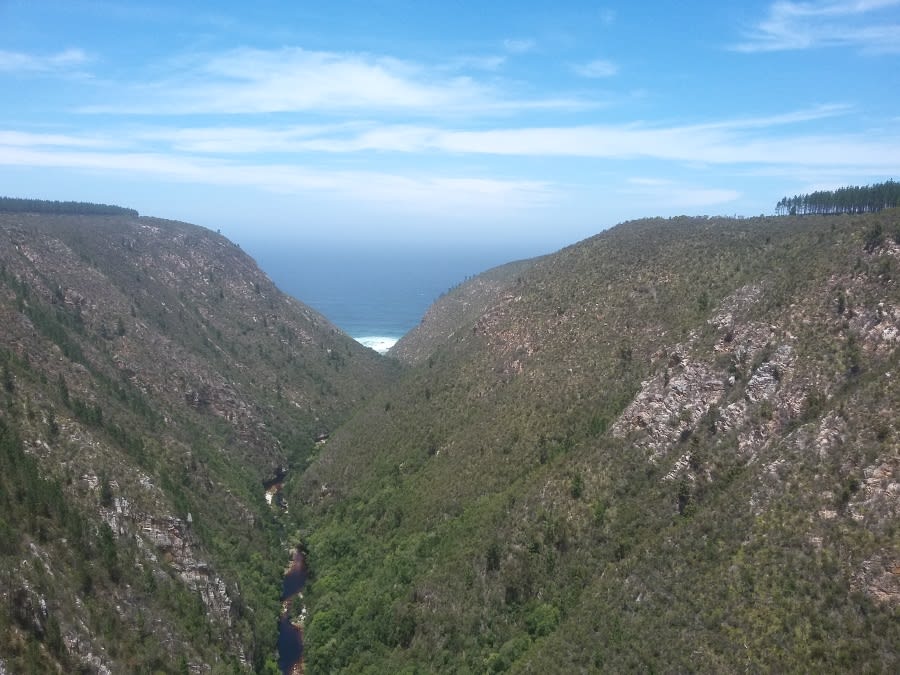 Bungee Jumpıng Bloukrans Bridge